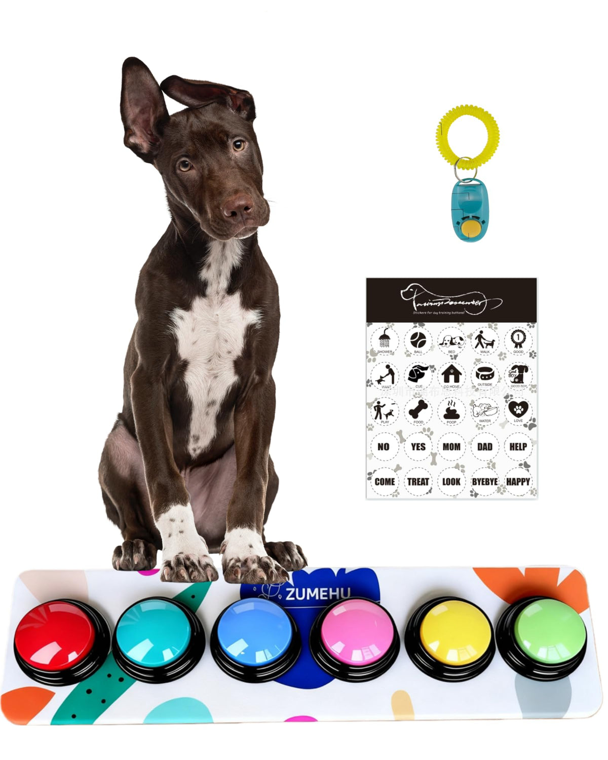 ZUMEHU dog buttons six-color set provides clear cues for easy training.