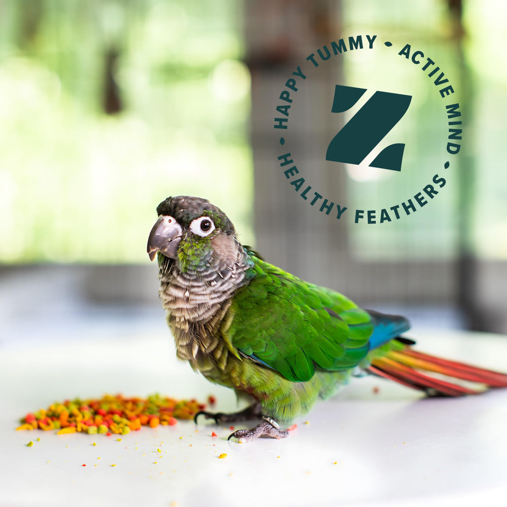 FruitBlend foraging-friendly pellets inviting interactive feeding and enrichment