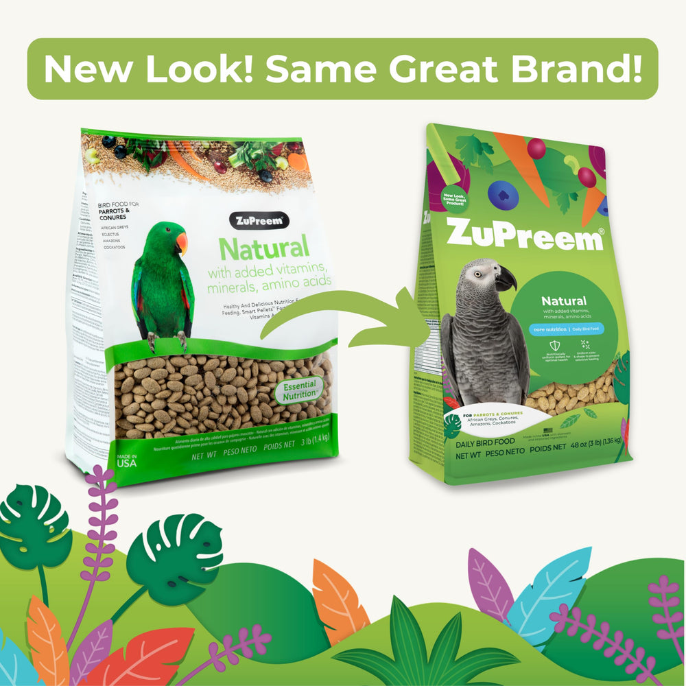 ZuPreem Natural Parrot Pellets in a feeding bowl promote consistent daily nutrition for parrots.