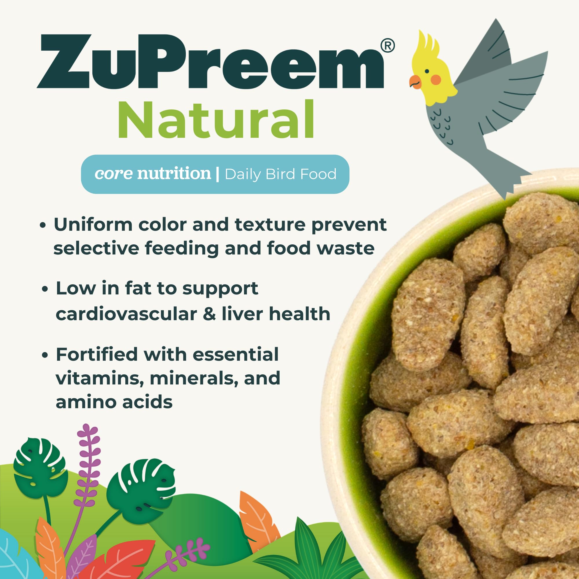 Transition scene with ZuPreem Parrot Pellets and seeds demonstrates gradual adoption.