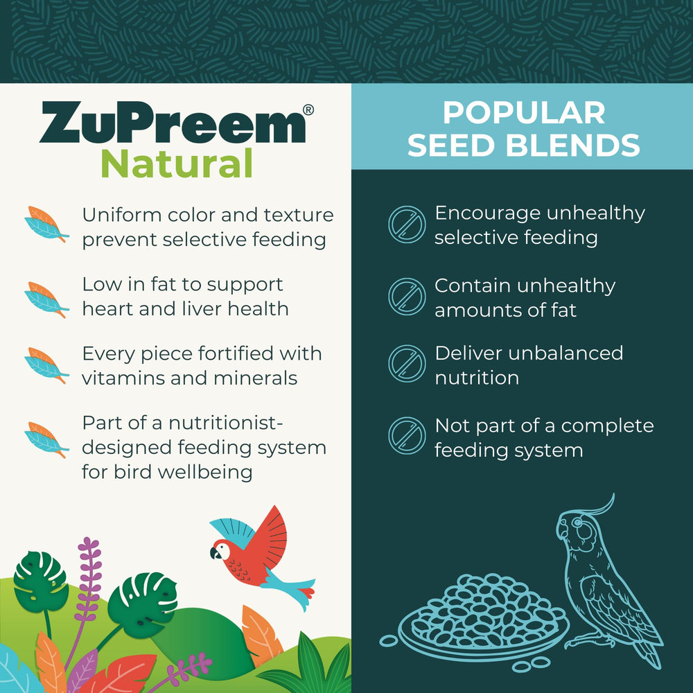 ZuPreem Natural Pellets fed to a cockatiel showing steady energy and feather health.