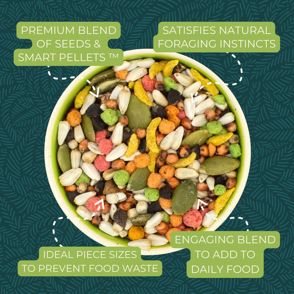 Varied seeds support daily nutrition in ZuPreem Sensible Seed.