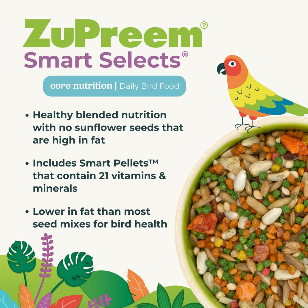 ZuPreem Smart Selects bird eating from bowl demonstrates palatable nourishment for active Amazons and Macaws.