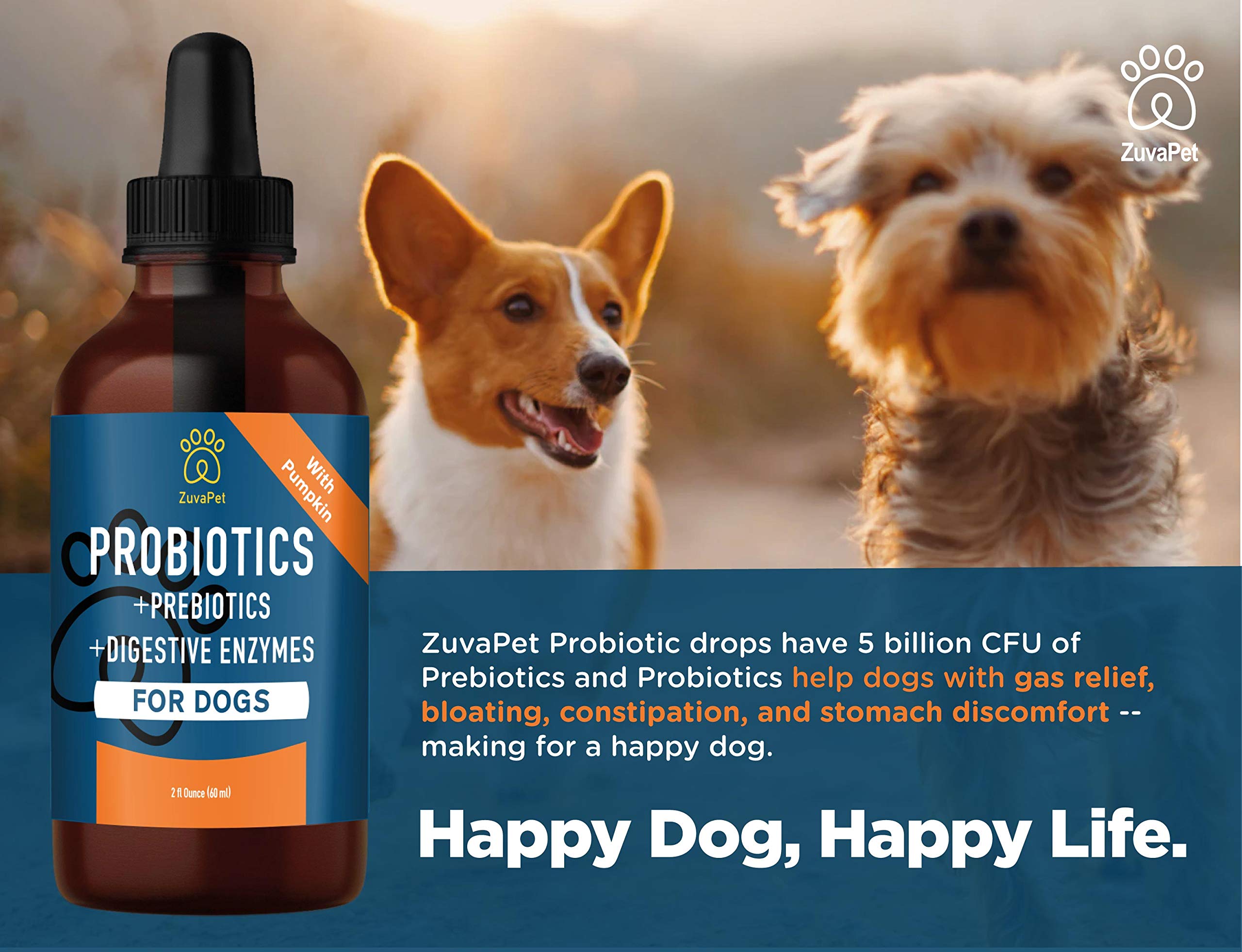 ZuvaPet 120 Servings Bottle shows large supply for ongoing digestive care.