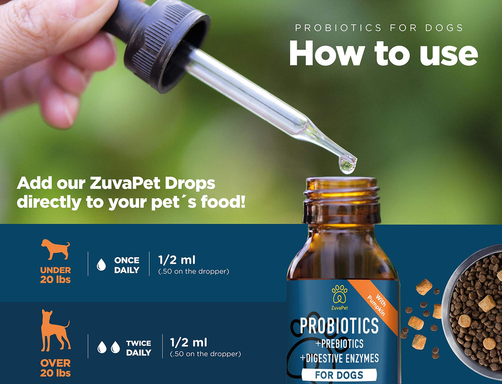 ZuvaPet Coat Health Boost image, digestive wellness supports overall shine.