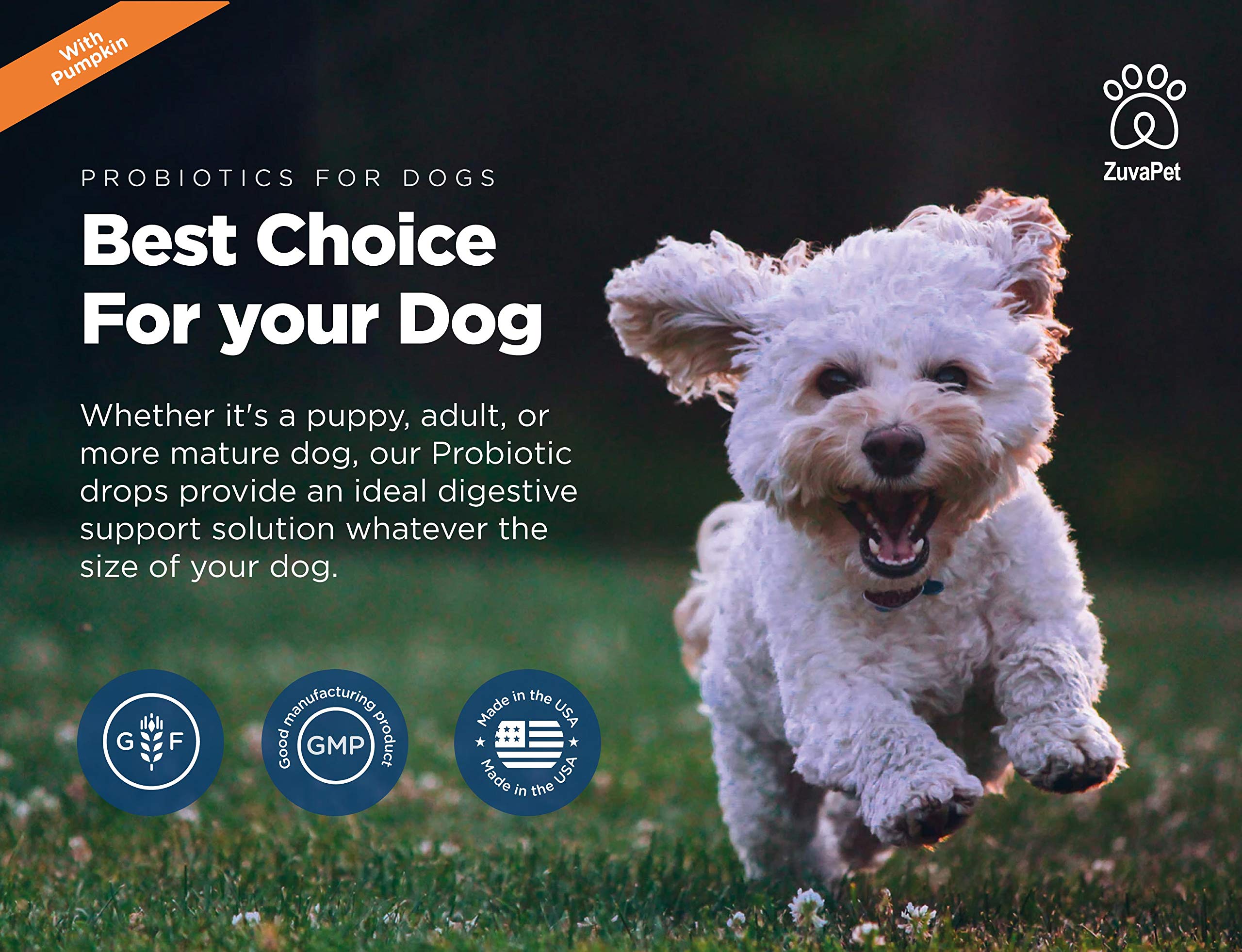 ZuvaPet Taste-Friendly Drops, dogs happily accept the formula.