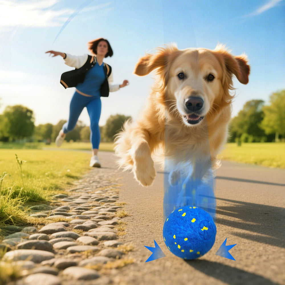 Zuykjeagle safe-at-home toy for floors and carpets