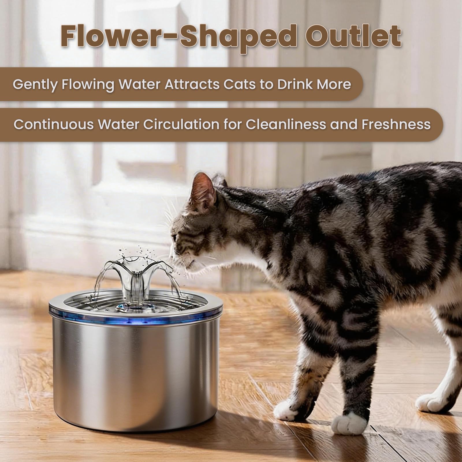 Replacement filters included for ongoing filtration and convenience