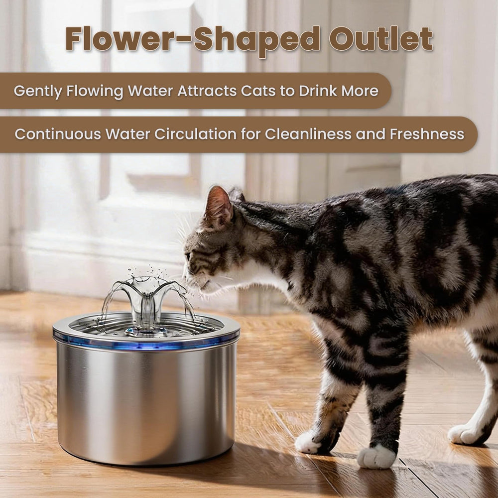 Replacement filters included for ongoing filtration and convenience