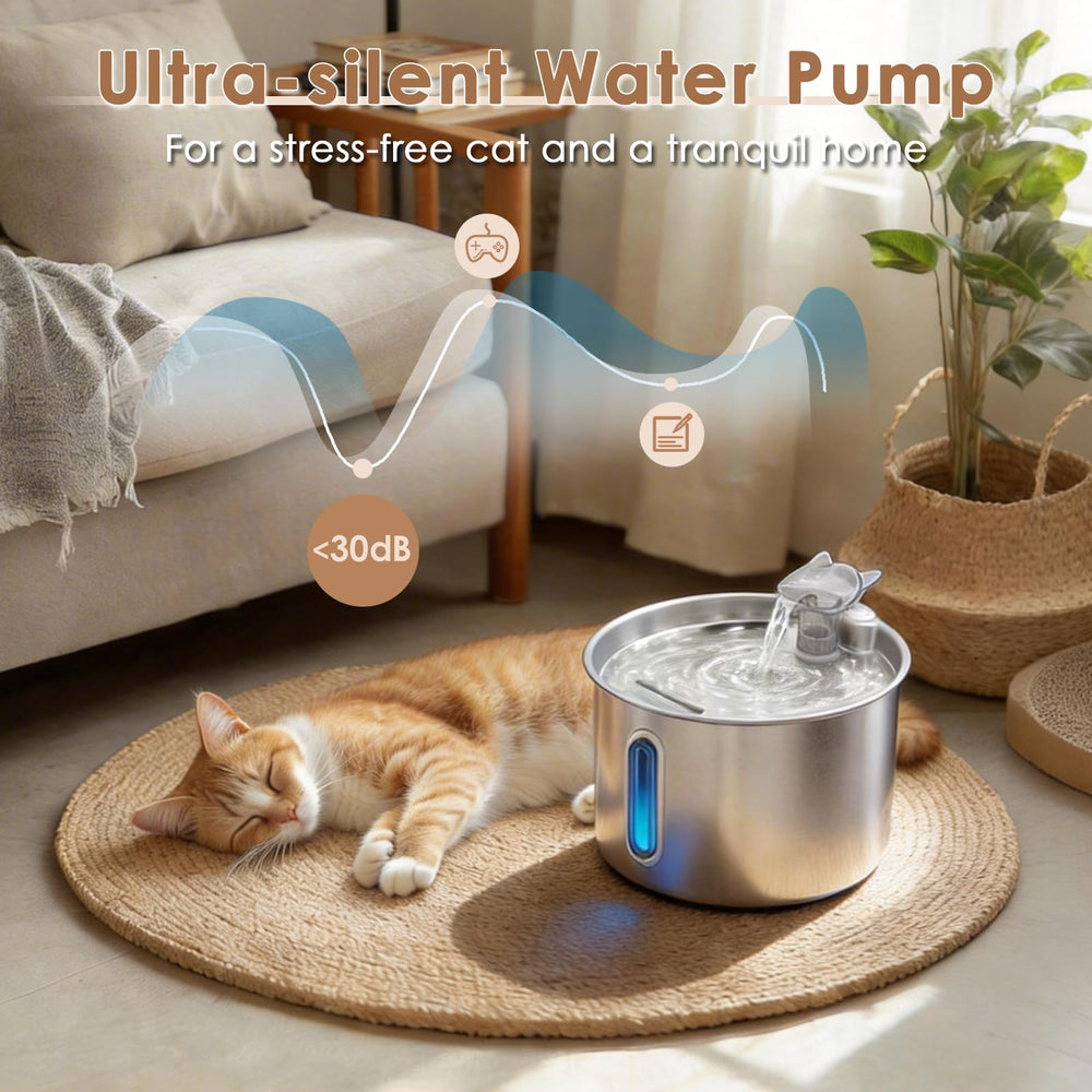 Zvaiv dual-flow water outlets to tailor the drinking experience.