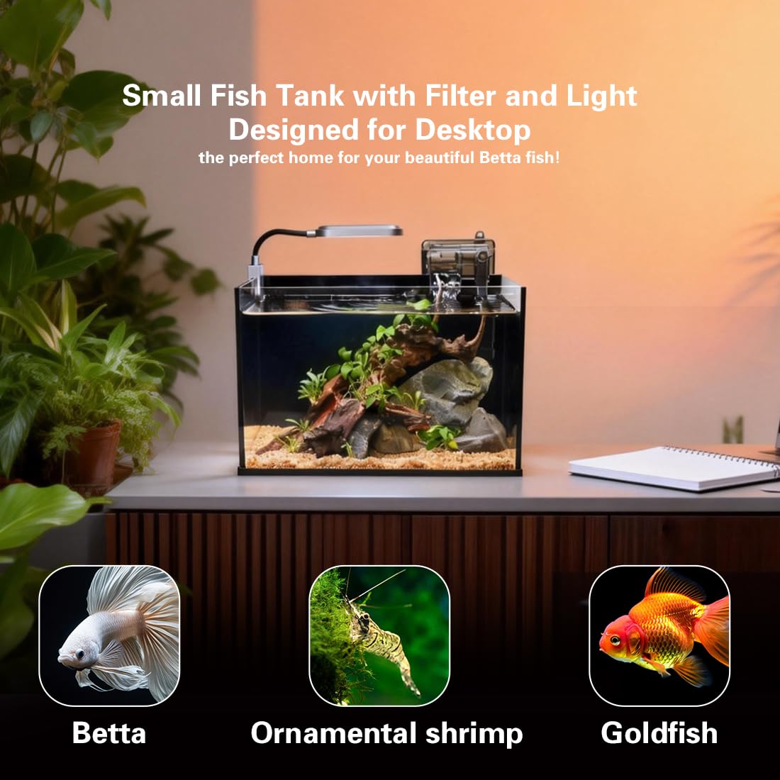 ZXIE-Cloud nano aquarium side view shows compact footprint ideal for desks.