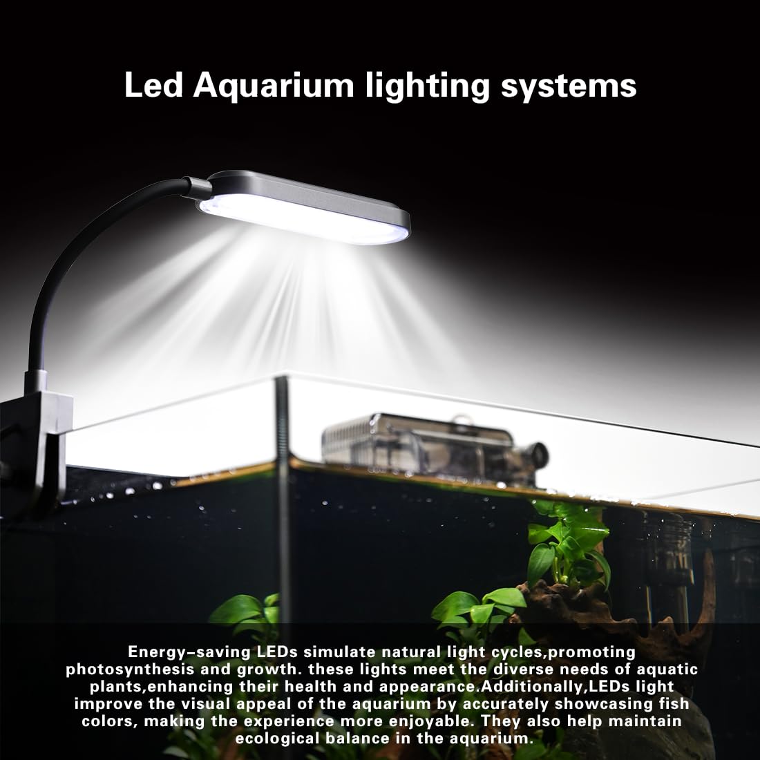 ZXIE-Cloud quiet filtration system closeup highlights efficient, low-noise operation.
