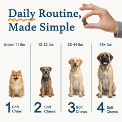 zybeauty dog allergy chews soft chews closeup shows easy daily dosing.
