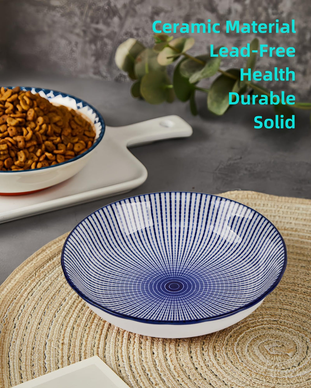 ZYUTONG indoor-use ceramic bowls fit wet or dry food, water, and snacks.