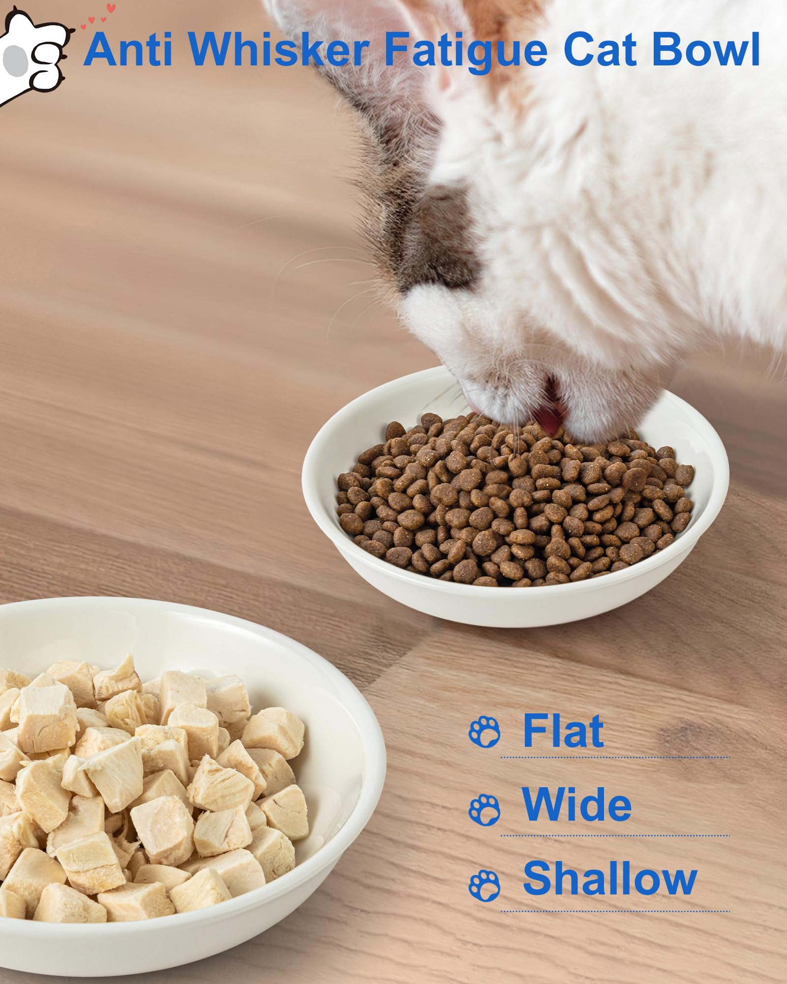 ZYUTONG heart-pattern cat bowl adds charm to indoor feeding.