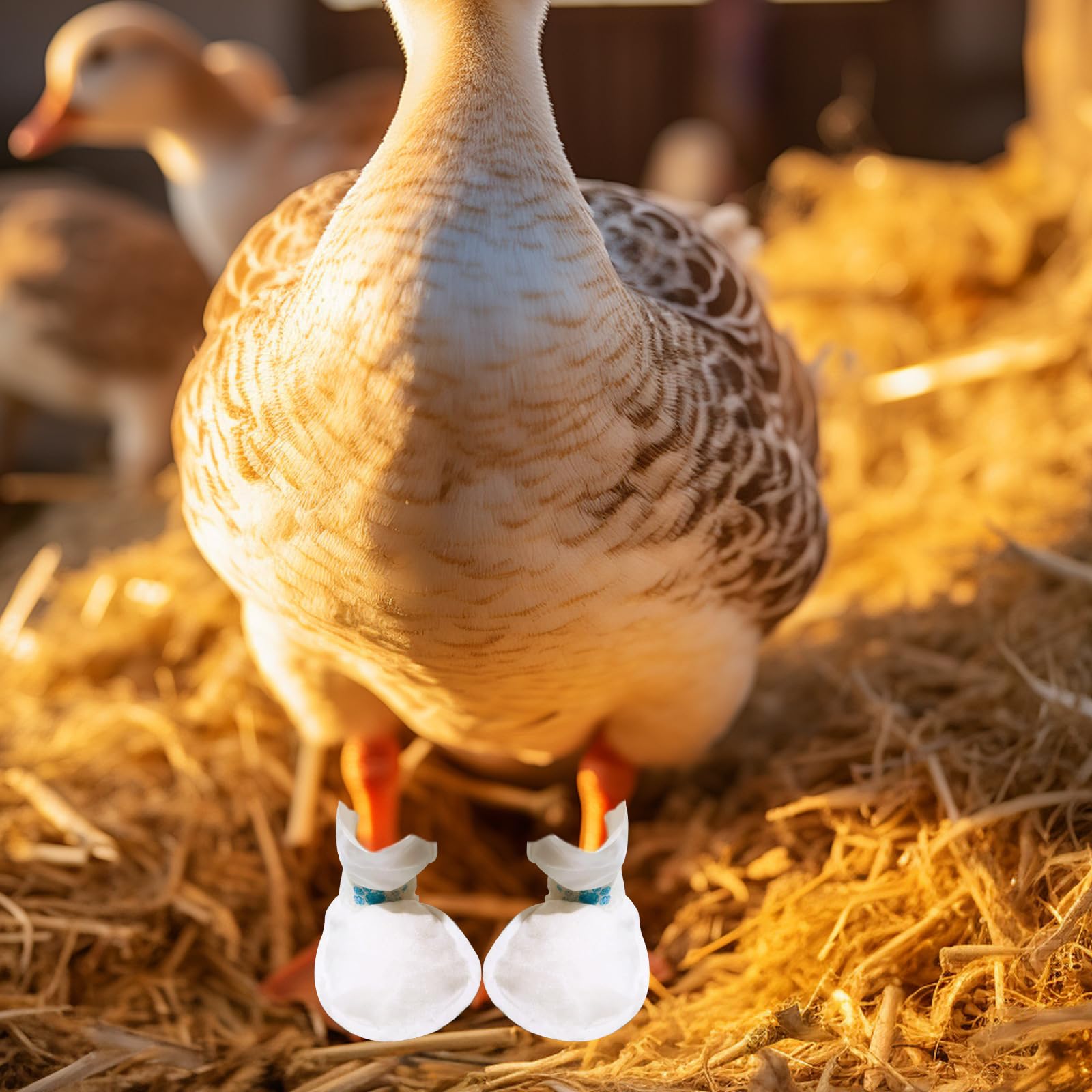 ZZBUY 40-pack duck foot care option for households with several ducks